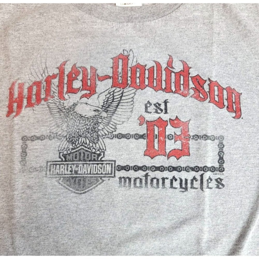 Harley Davidson T-Shirt Mens Size Large Grey ESTABLISHED '03 Crete ILLINOIS 2010